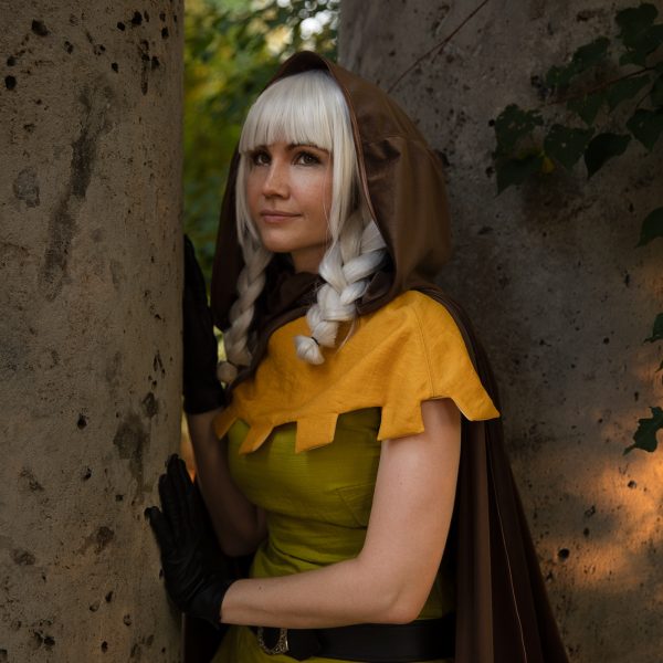 Dragons Crown