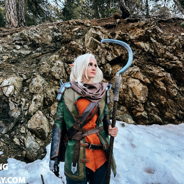 Dragon Age cosplay
