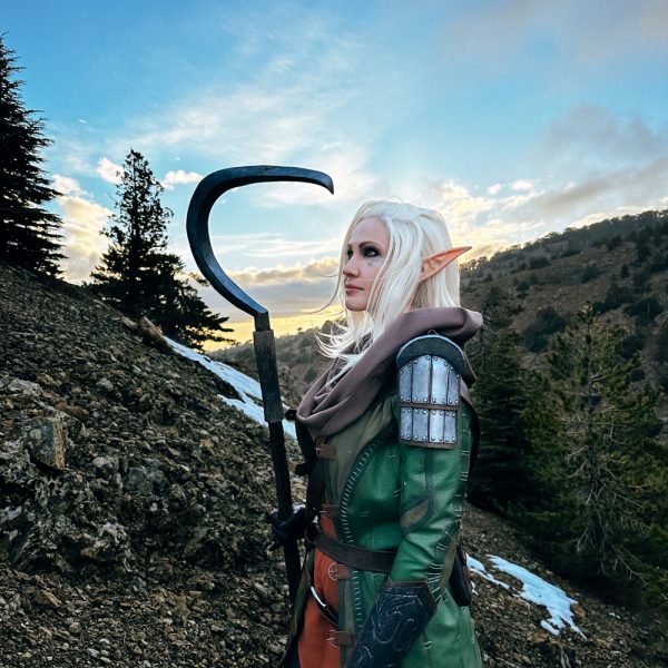 Dragon Age cosplay
